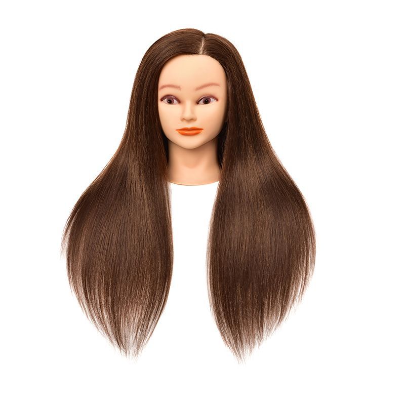 Apprentice Practice Updo Makeup Artificial Model Hot Roll Barber Other Wig