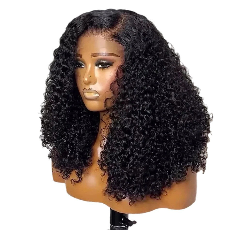 Double Drawn Human Lace Curly Density Real Hair Wig