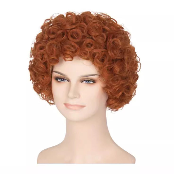Women's Brown African Small Fluffy Style Wig Short Curly Hair