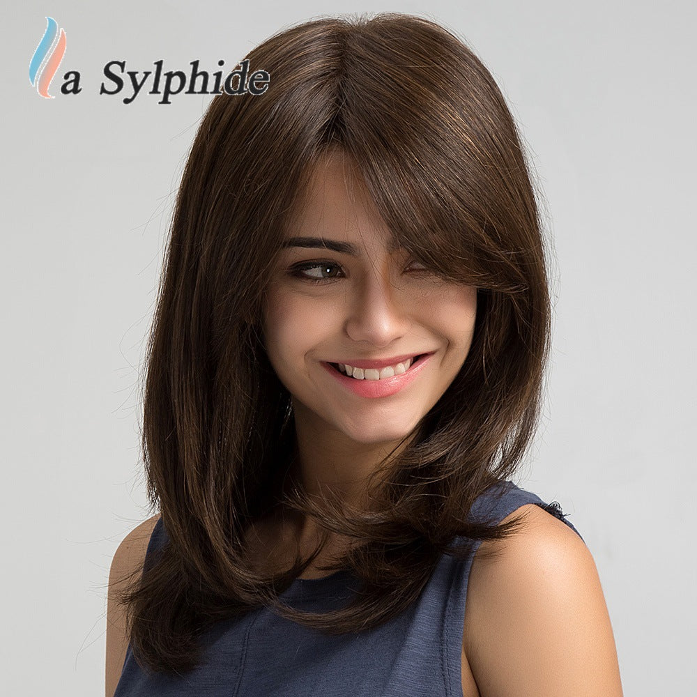 Brown Partial Hair Matte Fiber Age Reducing High Level Collarbone Long Straight Wig