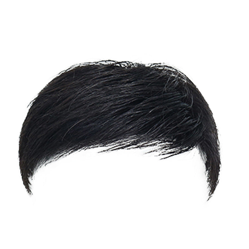 Men's Hair Piece Short Inch Natural Mechanism Real Human Men's Wig