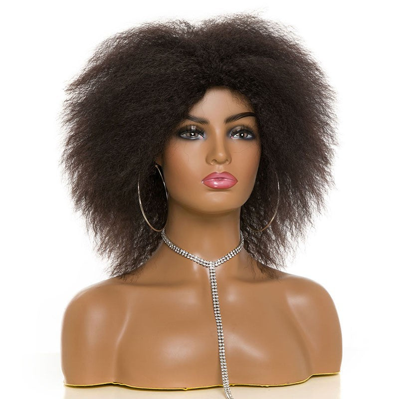 Women's & Men's Afro Fluffy Short Curly Black Dark Brown Cos Wig