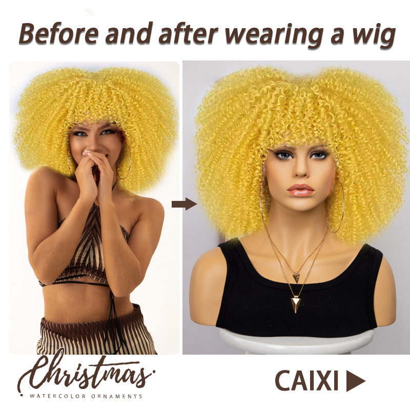 Women's African Fashion Explosion Small Head Cover Wig Short Curly Hair