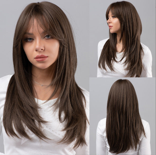 Gradient Chemical Fiber Mechanism Rose Net Long Straight Wig