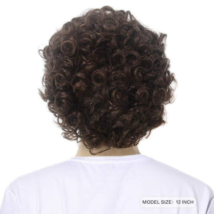 Men's Handsome Fluffy Brown Short Curly Synthetic Men's Wig