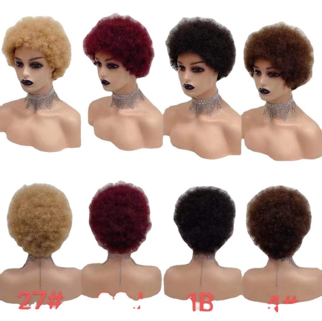 Classic Pretty Innovative Straight African Curly Real Hair Wig