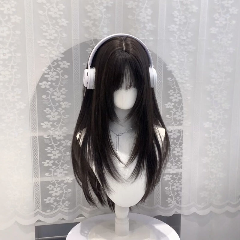 Women's Hair High-level Natural Two-dimensional Daily Black Long Straight Wig