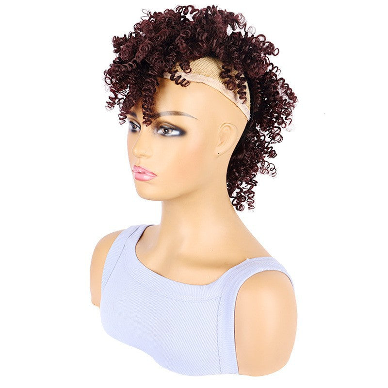 Dried African Small Curly Short Hair Wig Ponytail