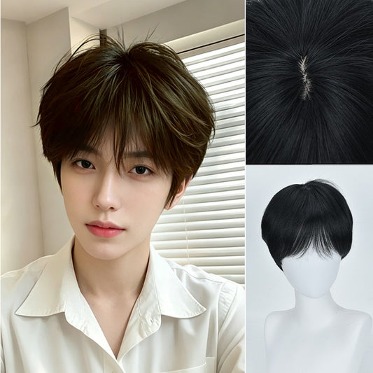 Boys Everyday Joker Differential Broken Cover Short Hair Natural Fluffy Men's Wig