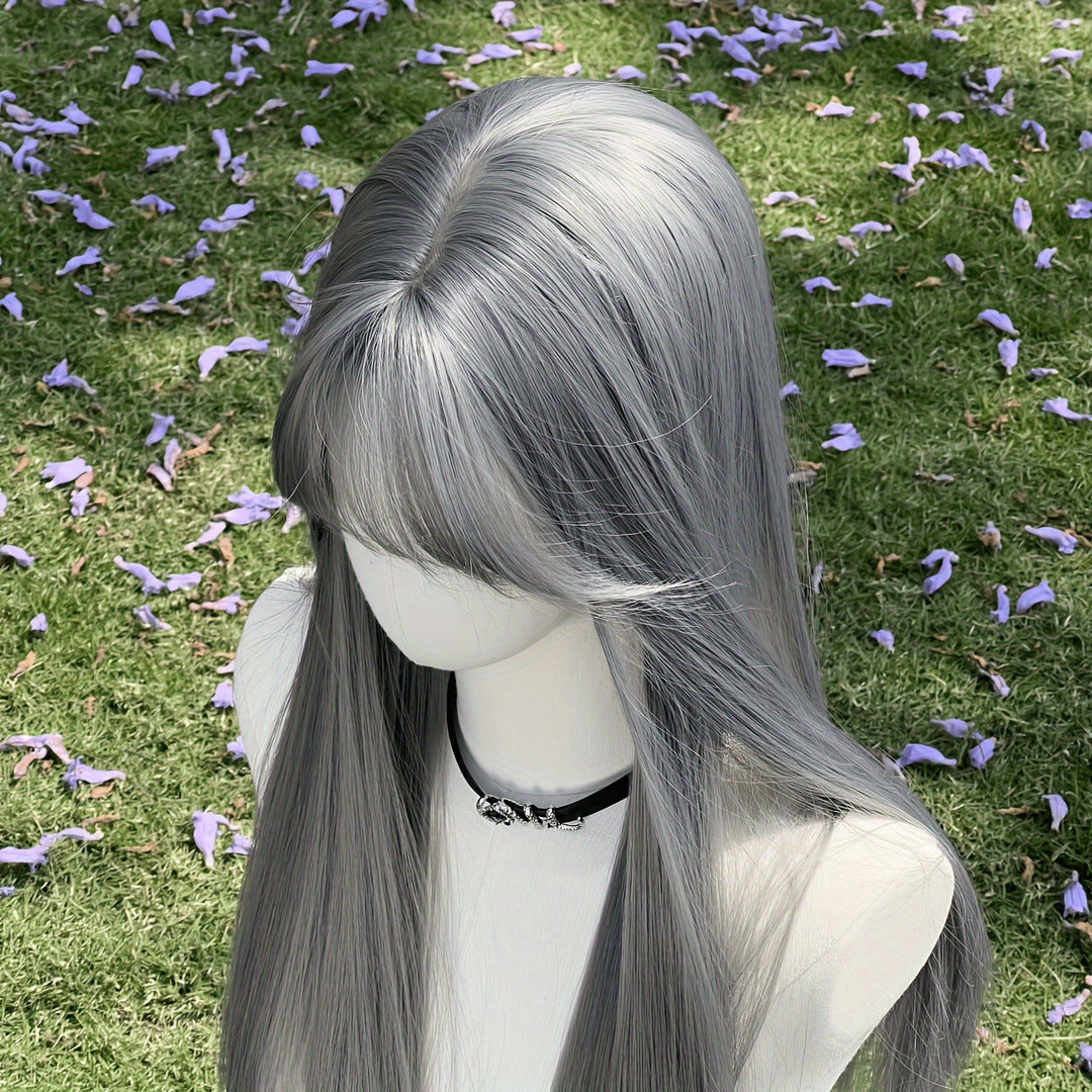 Women's Gray With Bangs Hair Daily Party Long Straight Wig