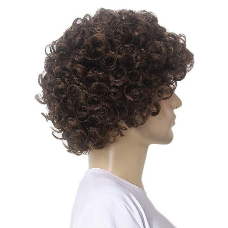 Men's Handsome Fluffy Brown Short Curly Synthetic Men's Wig