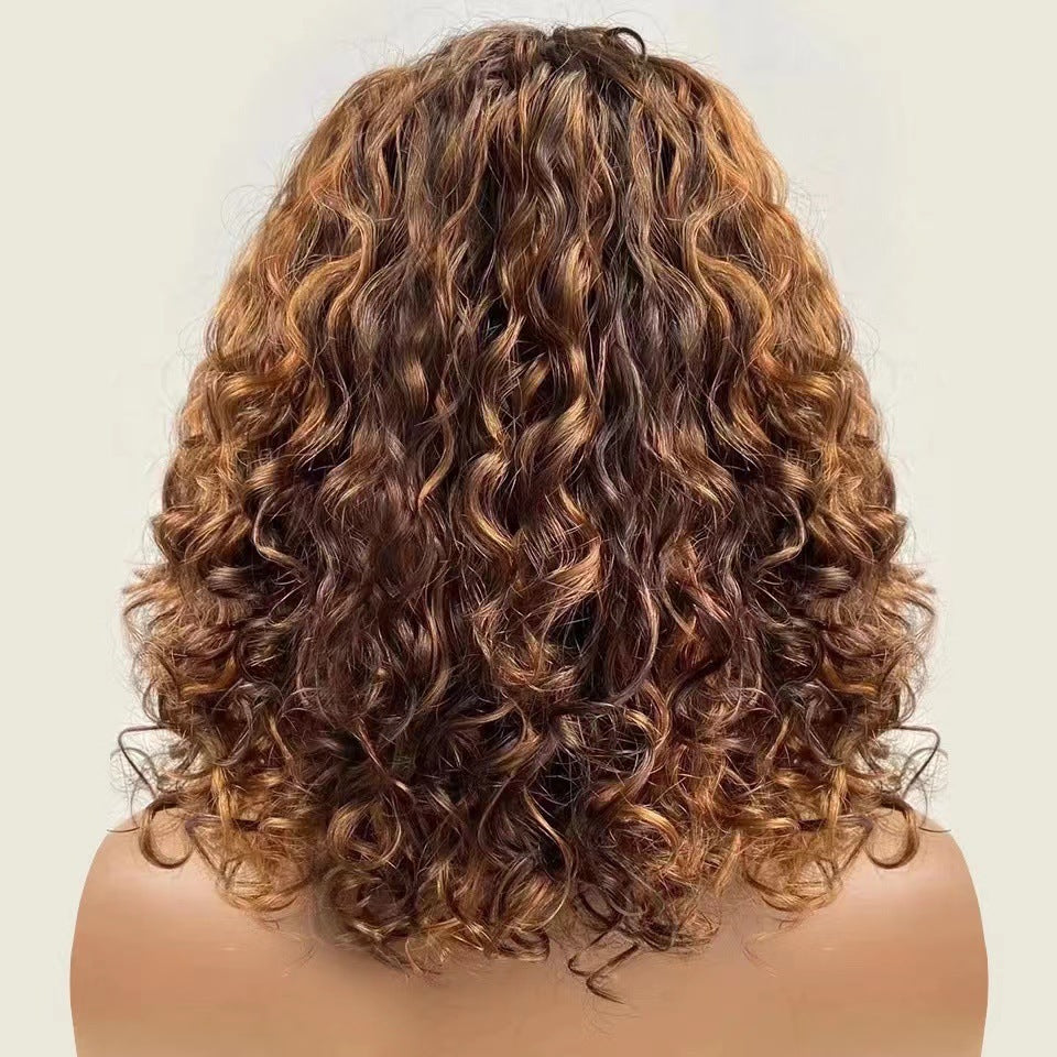 Women's Sheath African Small Full Gradient Color Wig Short Curly Hair