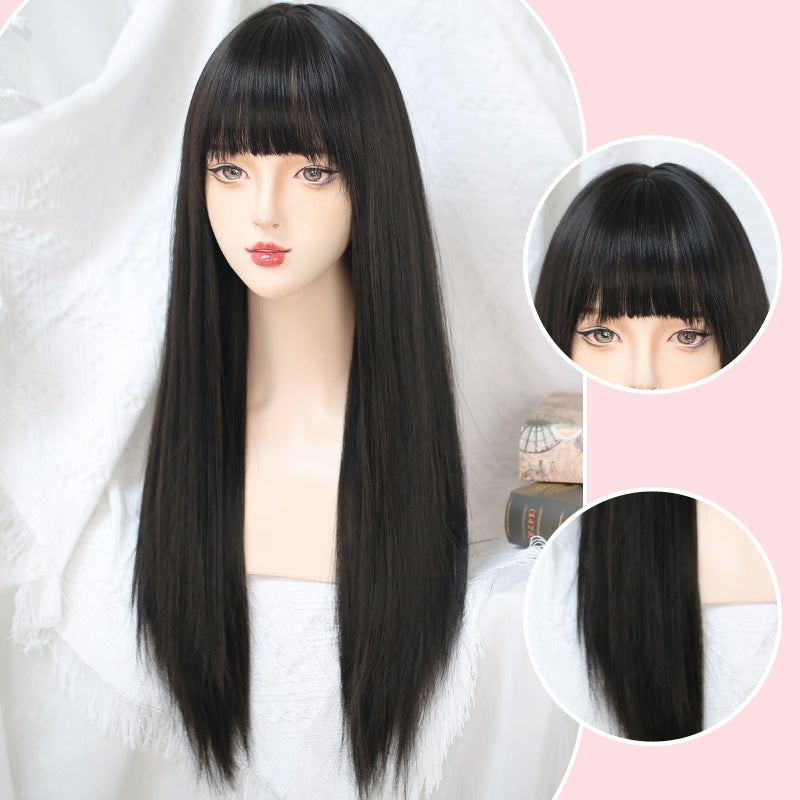 Simulation Long Straight Hair Natural Female Other Wig