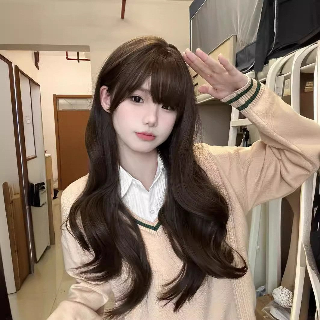 Pair Of Ponytail Star Female Cold Brown Big Wave Curly Wig Long Curls
