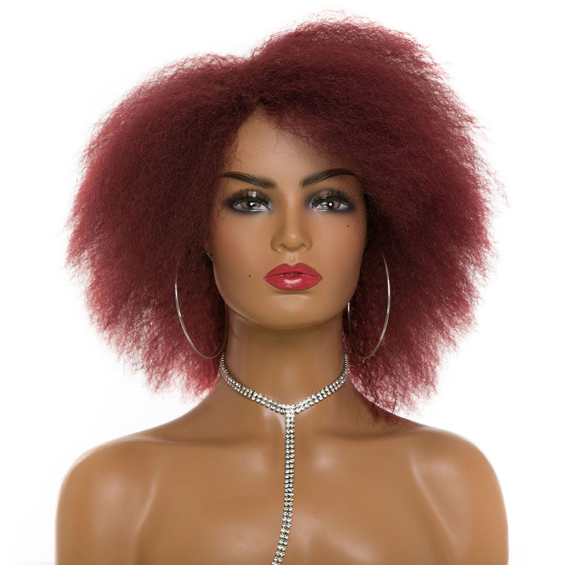 Women's & Men's Afro Fluffy Short Curly Black Dark Brown Cos Wig