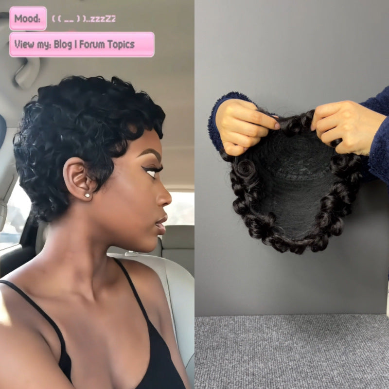 Classic Comfortable Pretty Curly Black Natural Wig Short Straight Hair