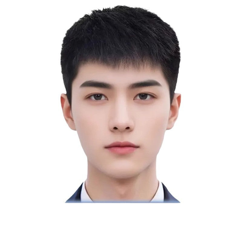 Men's Hair Type Human Headgear Fur Inch Cover Gray Men's Wig