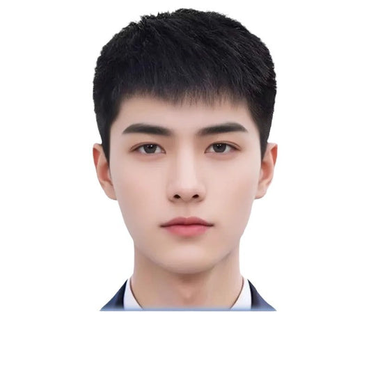 Men's Hair Type Human Headgear Fur Inch Cover Gray Men's Wig