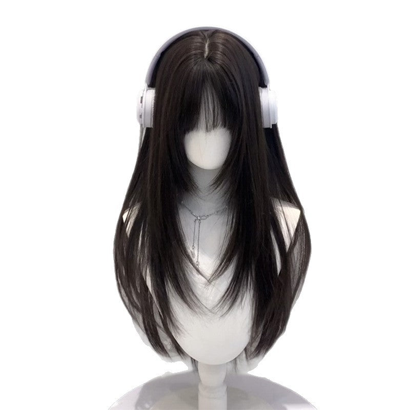 Women's Hair High-level Natural Two-dimensional Daily Black Long Straight Wig
