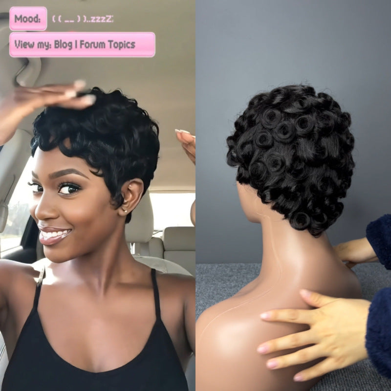 Classic Comfortable Pretty Curly Black Natural Wig Short Straight Hair