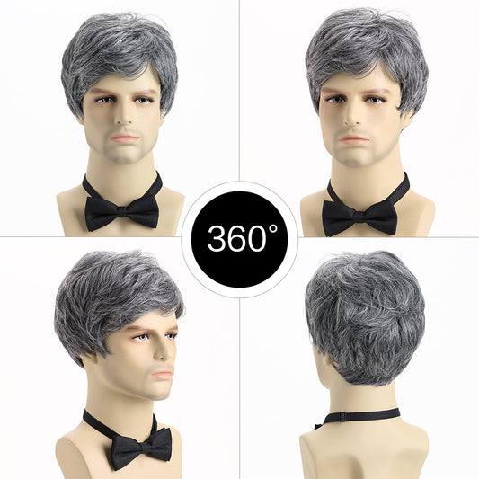 Men's Fashion Synthetic Wigs Gray Short Hair Men's Wig