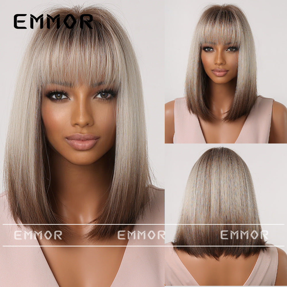 Elegant Classic Innovative Popular Gradient Gray Wig Short Straight Hair