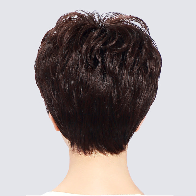 Fluffy Texture Short Human Wigs Female To Real Hair Wig
