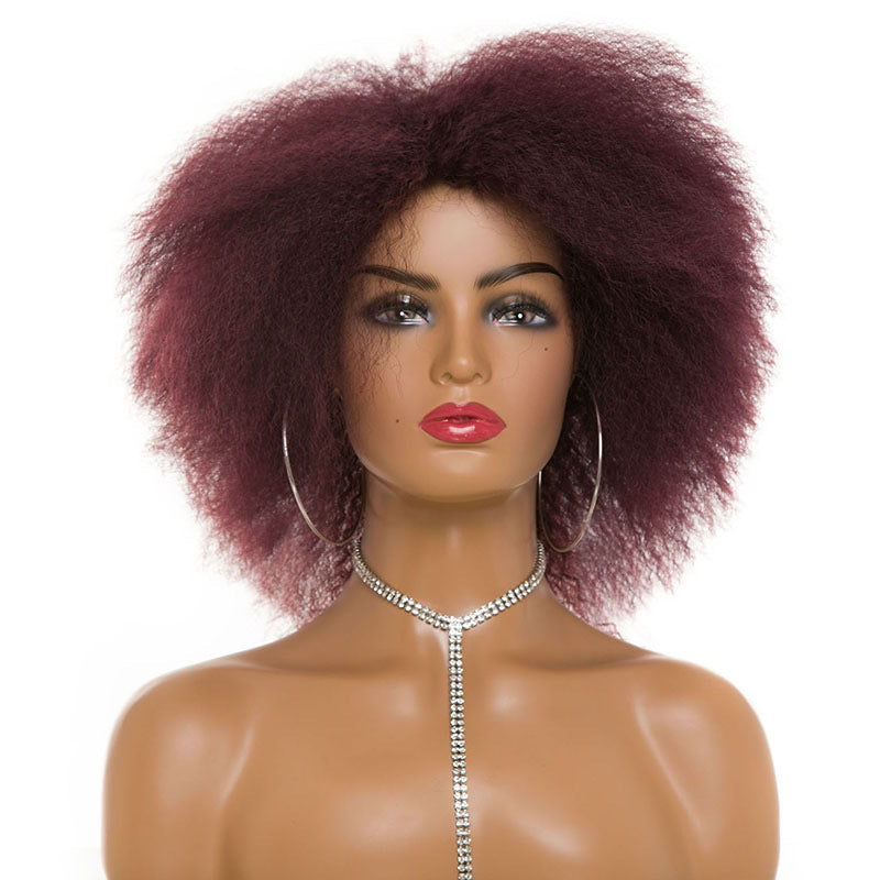 Women's & Men's Afro Fluffy Short Curly Black Dark Brown Cos Wig