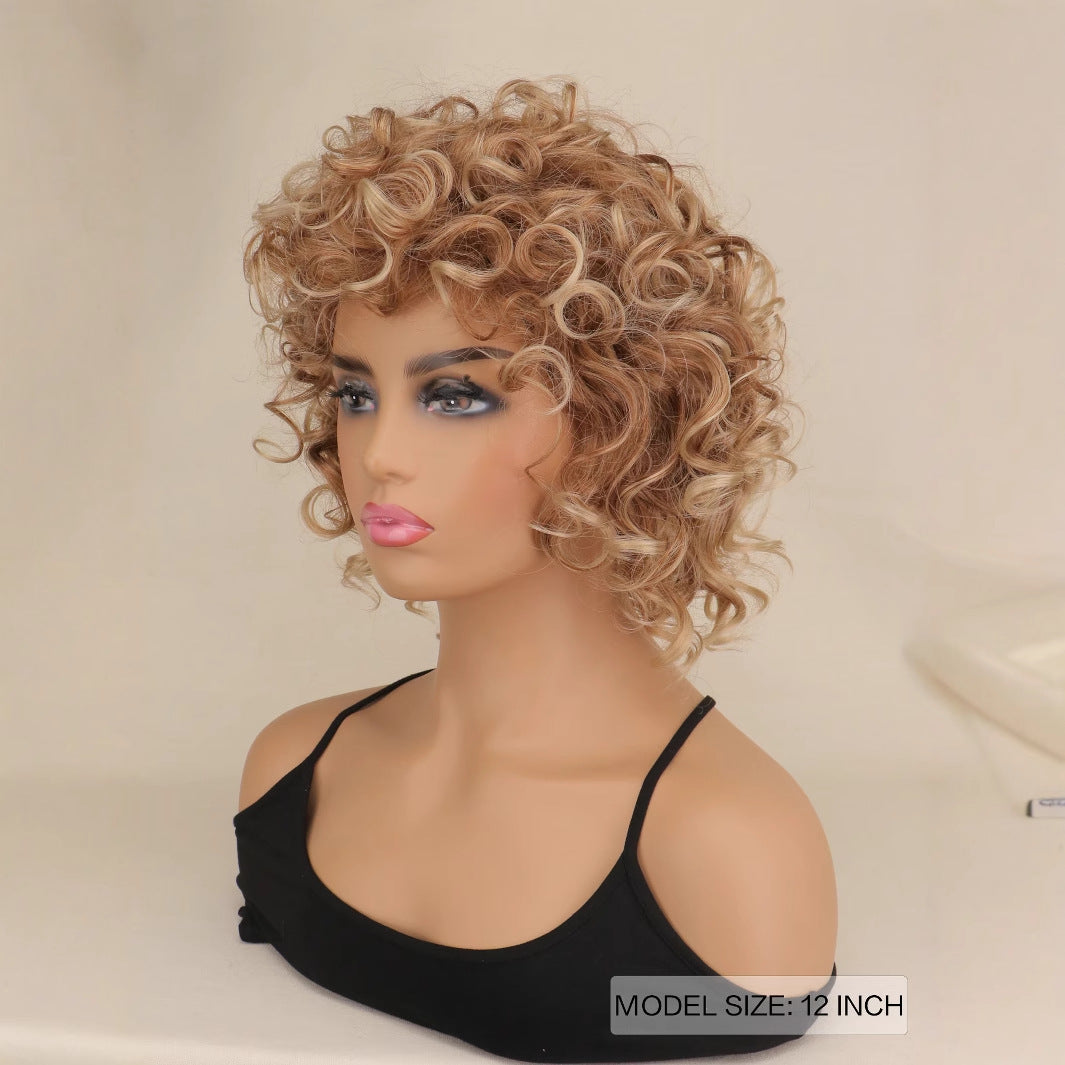 Classy Attractive Promotion Fiber Fluffy Sheath Wig Short Curly Hair