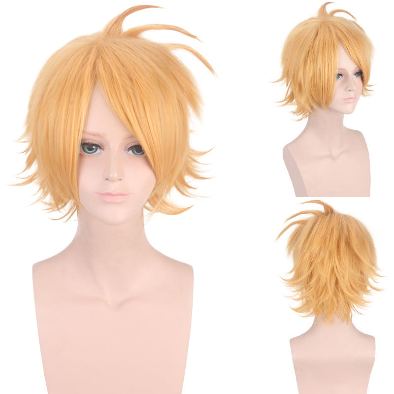 Lord Anime Animation Character Holiday Party Cos Wig