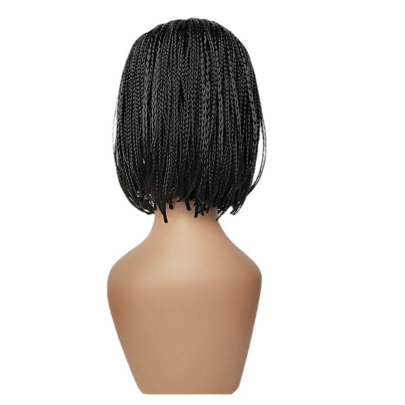 Graceful Women's Small Braid Synthetic Wigs Wig Long Curls