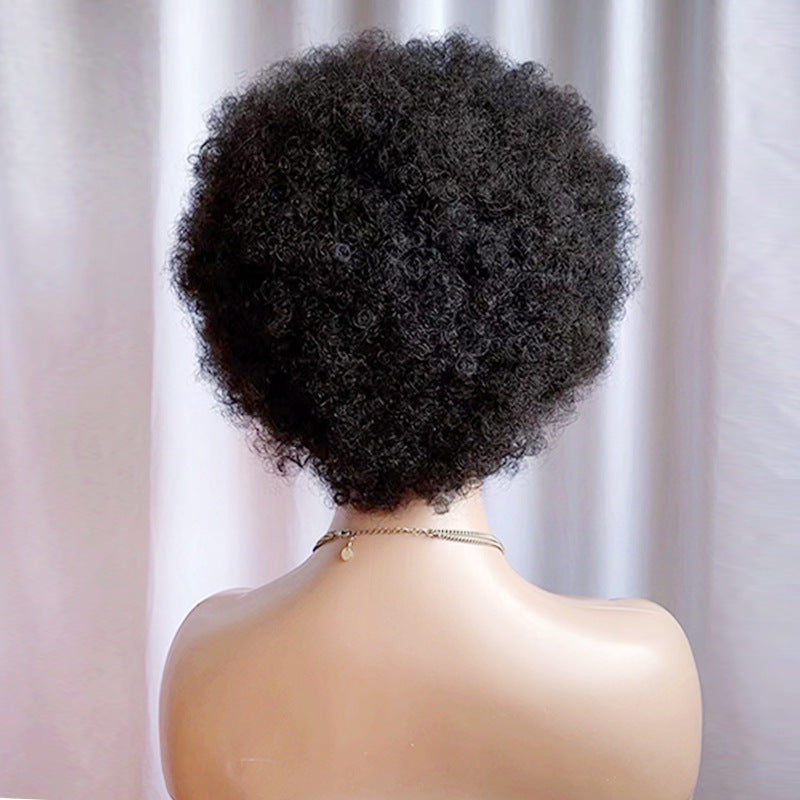 Full Type Human Forehead Hand-woven Small Identification Real Hair Wig