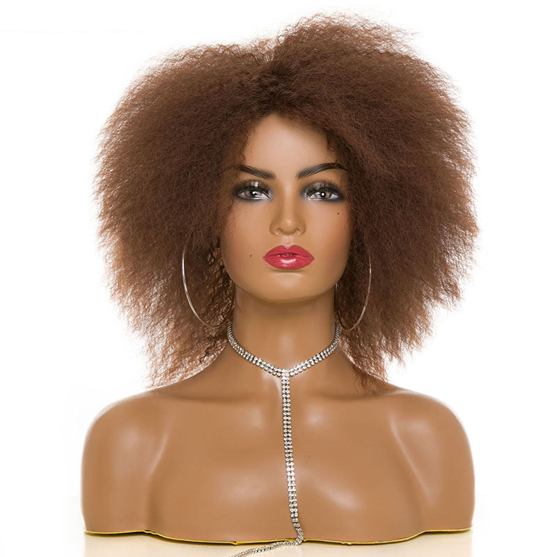Women's & Men's Afro Fluffy Short Curly Black Dark Brown Cos Wig