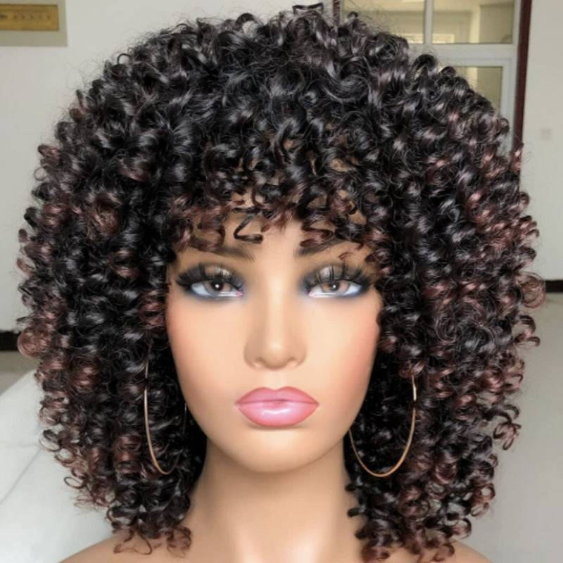 Women's Front Lace Small Black Wrapped African Wig Short Curly Hair