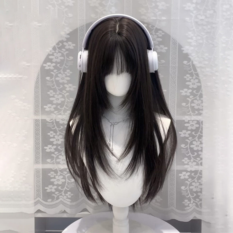 Women's Hair High-level Natural Two-dimensional Daily Black Long Straight Wig