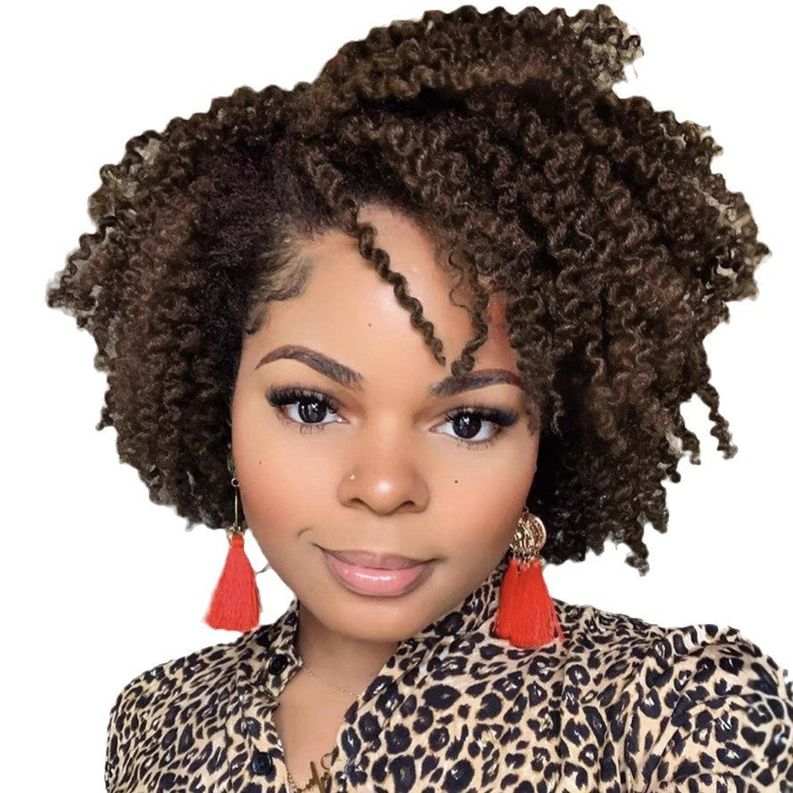 African Wigs With Small Female Partial Wig Short Curly Hair