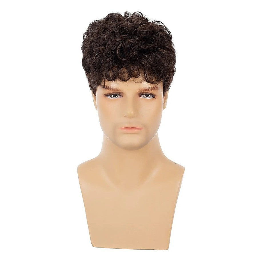 Men's Hair Brown Fashion Short Curly Fluffy Synthetic Men's Wig