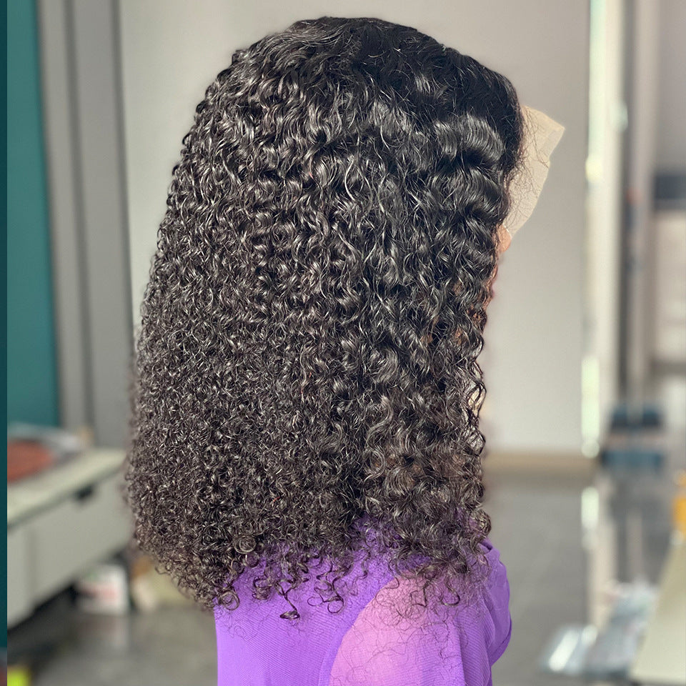 Women's Lace Synthetic Wigs Fashion African Small Wig Short Curly Hair