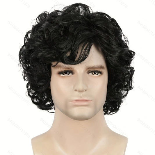 Men's Short Curly Hair Small Curls Male Black Men's Wig