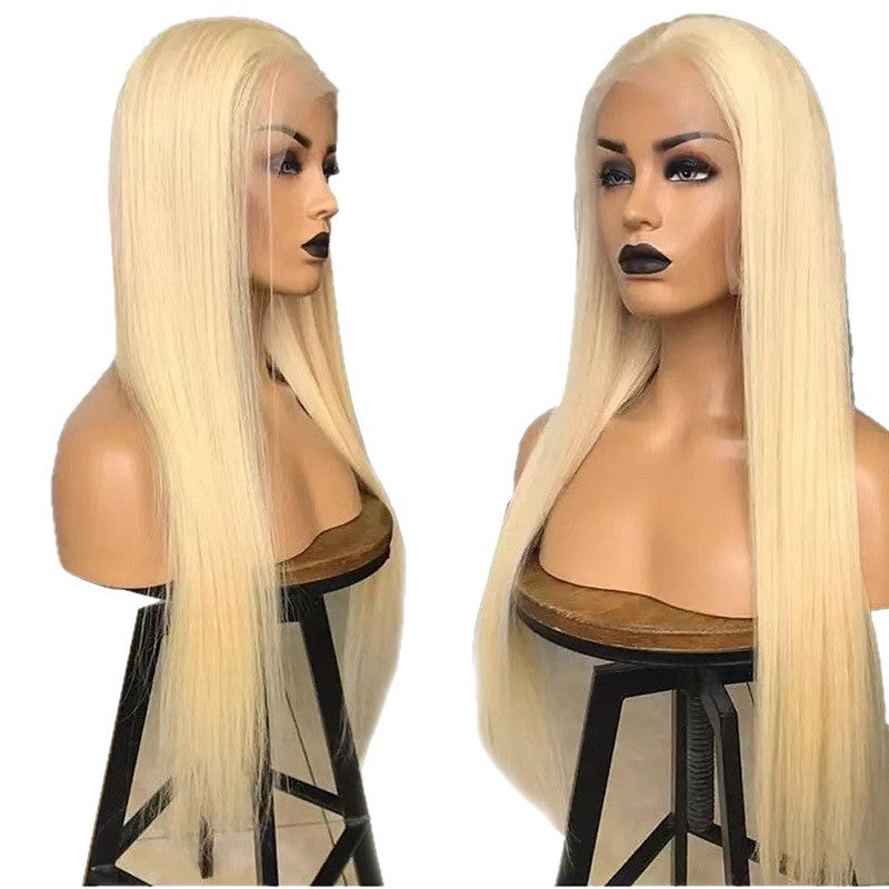 Front Lace Hair Fake Fiber Synthetic Long Straight Wig