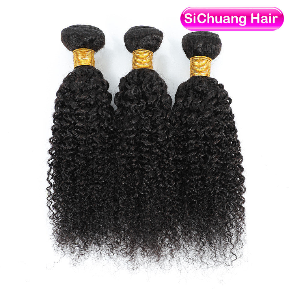 Human Wigs Hair Weft African Fashion Wig Long Curls