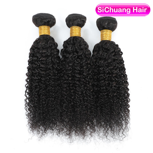Human Wigs Hair Weft African Fashion Wig Long Curls