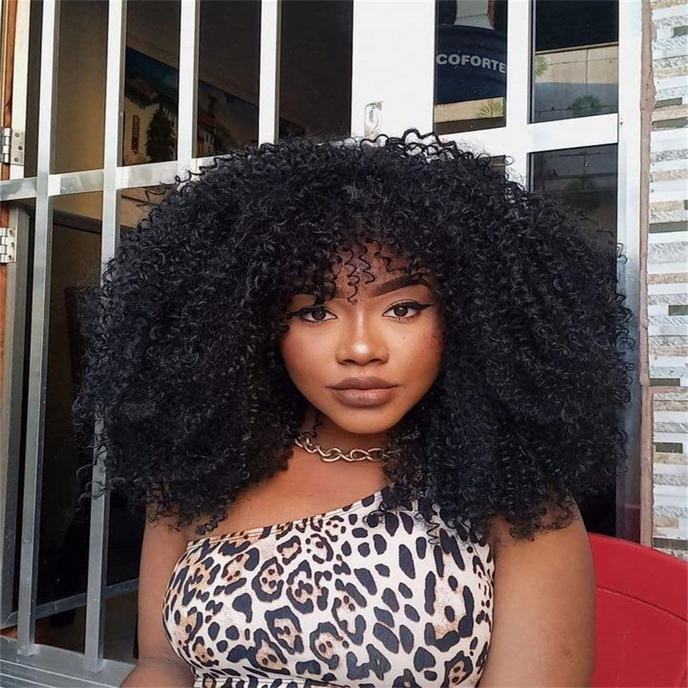 African Fluffy Afro Wigs With Small Wig Short Curly Hair