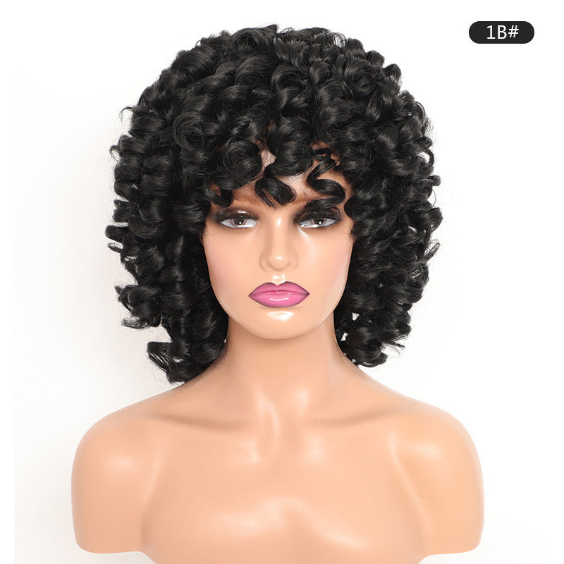 Stylish Unique Cool Classy African Small Wig Short Curly Hair