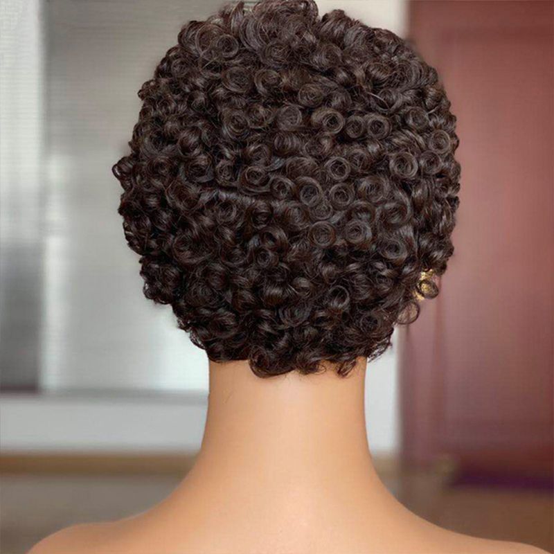 African Small Roll Brown American Style Wig Short Curly Hair