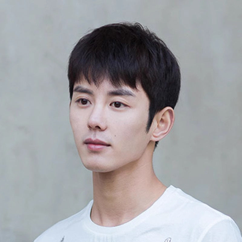 Men's Set Additional Hair Volume Real Head Men's Wig