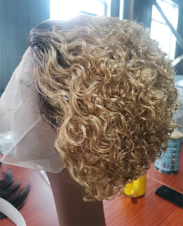 Pixie Cut Lace Wigs Human Shor Wig Short Curly Hair