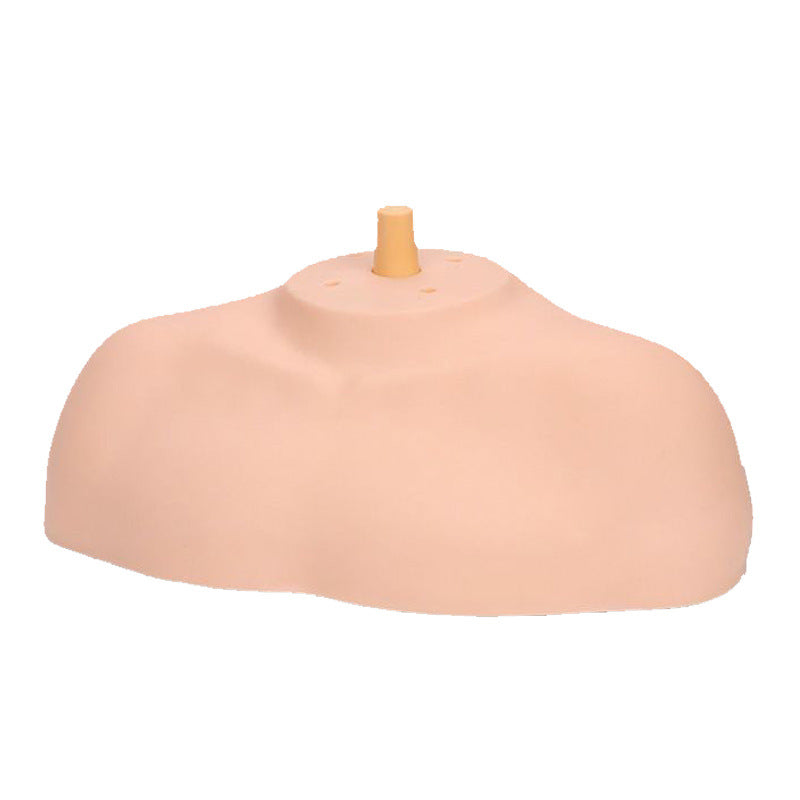 Head Shoulder For Hairdressing Model Fake Other Wig
