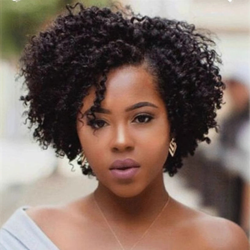 African Wigs With Small Female Partial Wig Short Curly Hair