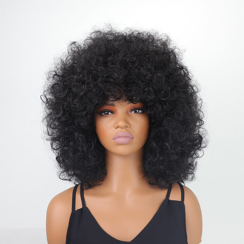 Women's Afro African Small Synthetic Wigs Wig Short Curly Hair